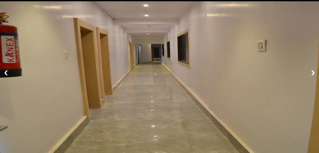 Bougainvilleas on Lombard Street,  San Francisco, Tokyo